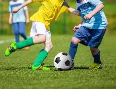 蛇年大运,揭秘,期双色球绝,广东体彩,广东体彩网,广东体彩网官网,体育彩票,广东彩票,体彩开奖,彩票玩法