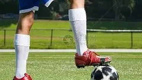 2026024期海滨3D揭秘：独家点评+权威专家精准预测，一语定胆，绝不容错过！