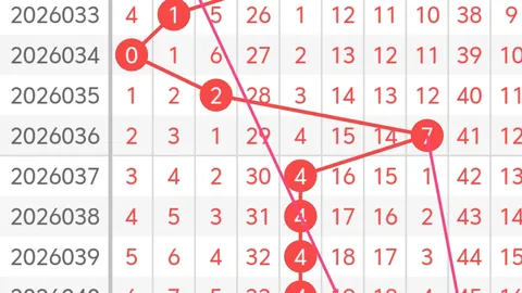 2026021期双色球大乐透专家推荐：蓝球独胆14及质合分析